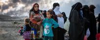 More support needed as Mosul, Iraq displacement grows