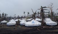 Typhoon Haiyan: UNHCR marks new year with 350,000 benefitted
