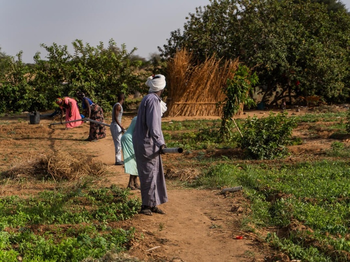 Five people work outside on an Agro project.