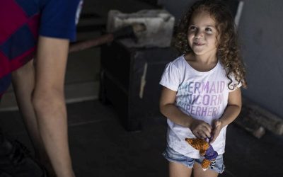 Беженцы ищут психологическую помощь после взрыва в Бейруте