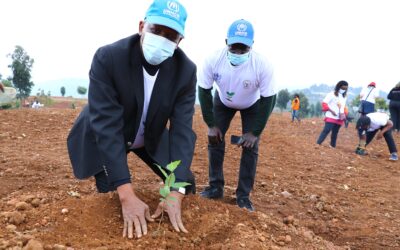 MINEMA and UNHCR launch environmental rehabilitation drive in Gihembe