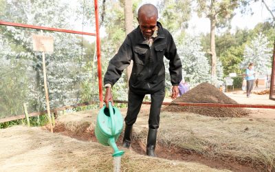 Refugees and locals join hands to restore the environment in Rwanda