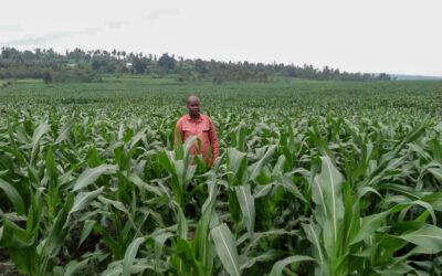 Farming boosts refugee resilience in Nyabiheke