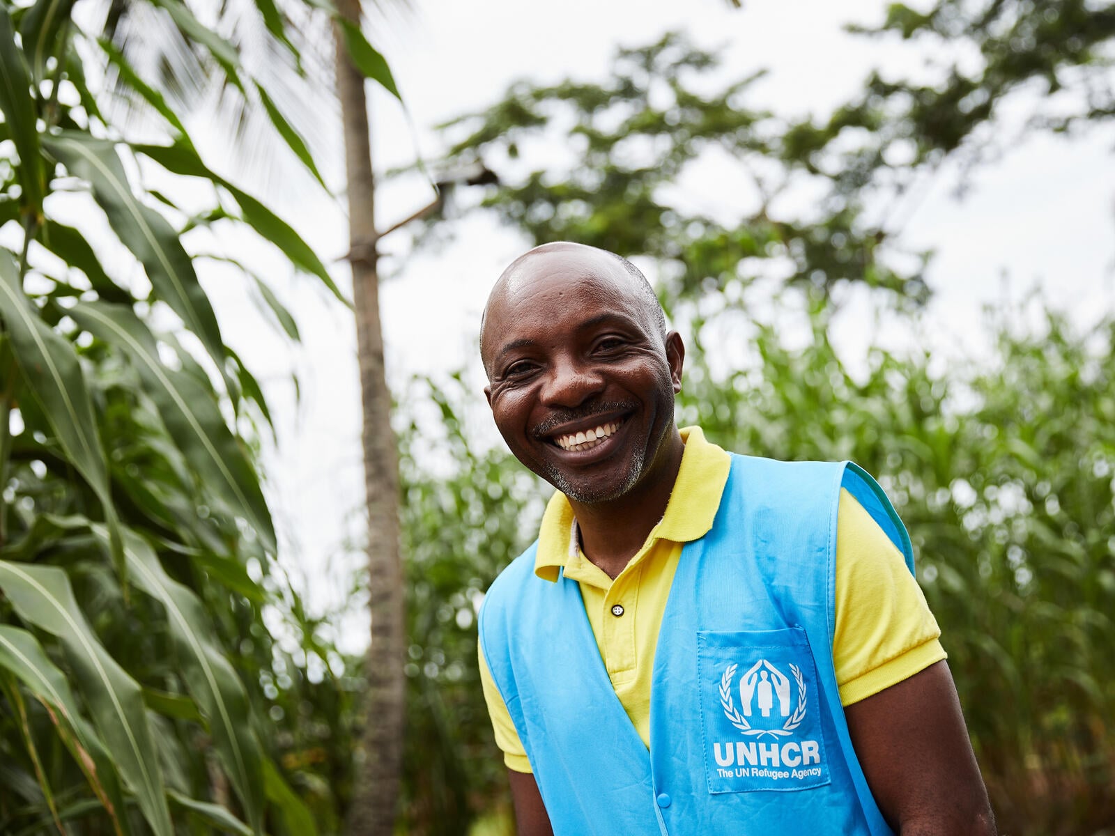 DRC. Staff profile