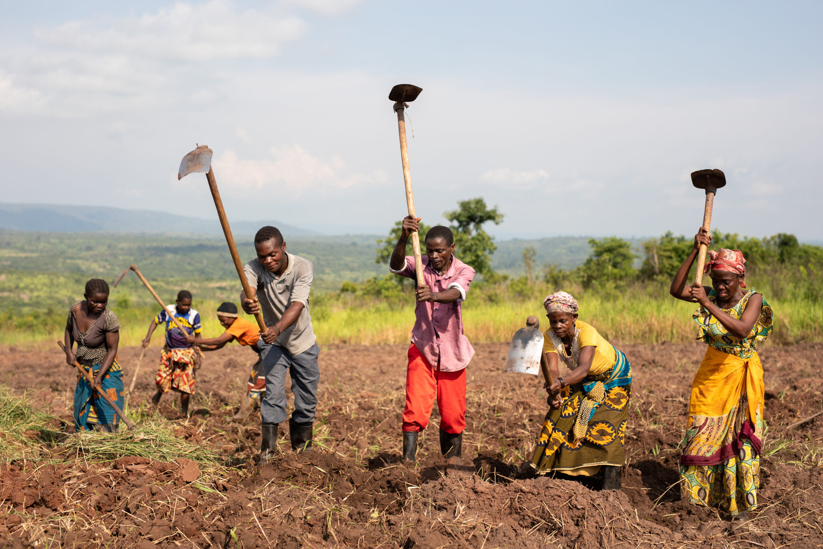 Samueli (midden) en andere leden van het vredescomité aan het werk in hun gemeenschappelijke veld. © UNHCR/Gwenn Dubourthoumieu