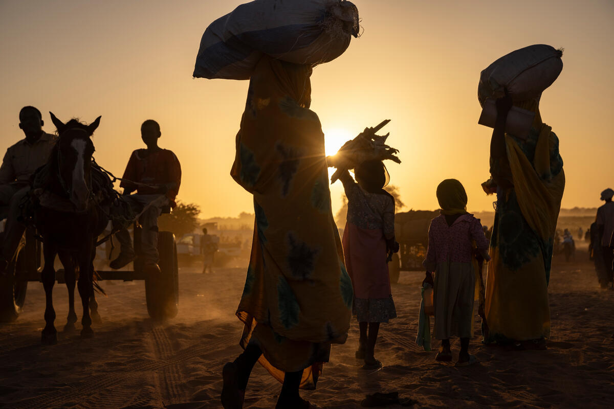 Silhouettes of a group of refugees and a horse against the sun