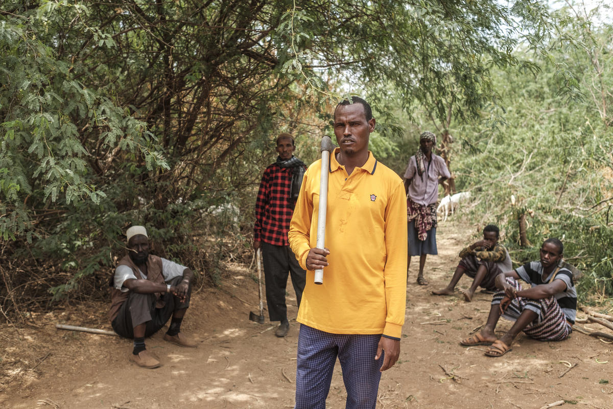 Ethiopia. Pesky weed provides energy and income for Somali refugees and hosts
