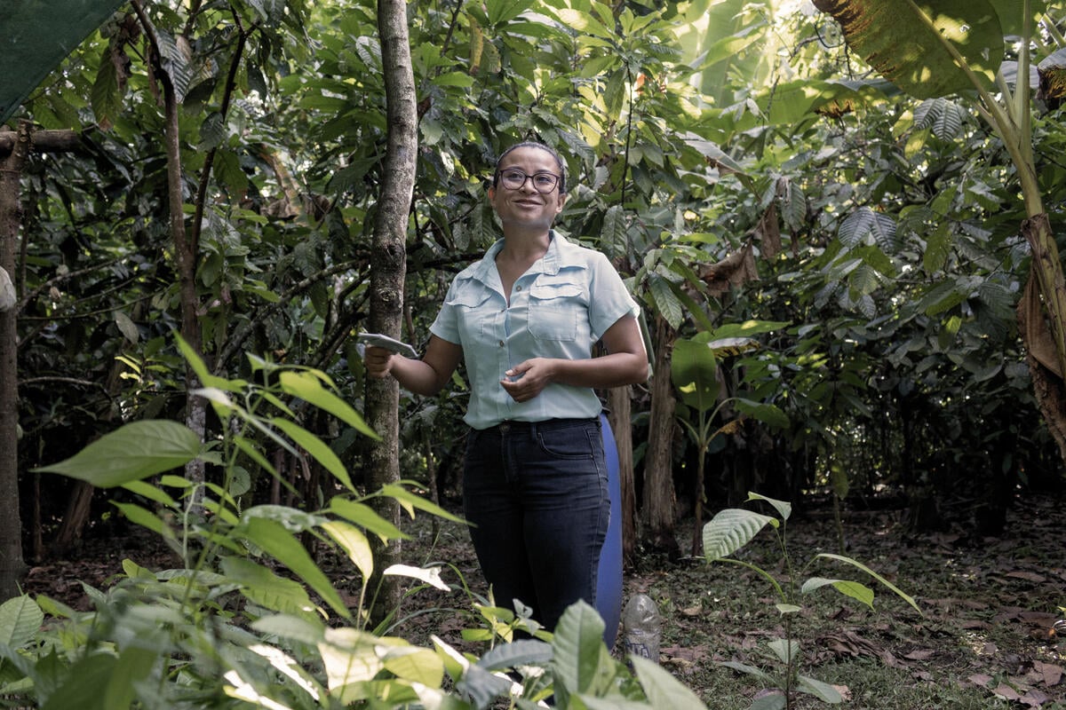 Dara Argüello makes the rounds on Vicenta's cacao plantation, tending to the trees and looking out for ripe pods.