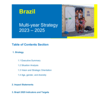 Brazil - Strategy 2023 – 2025.pdf