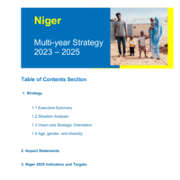Niger - Strategy 2023 – 2025.pdf