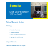 Somalia - Strategy 2023 – 2025.pdf