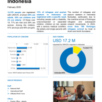 Indonesia: Factsheet - February 2025