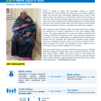 Overview of assistance delivered through Cash-Based Interventions (CBI) in MENA region in 2024