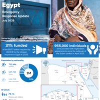 Egypt: Emergency Response Update - July 2025