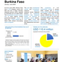 Burkina Faso: factsheet [January - June 2025]