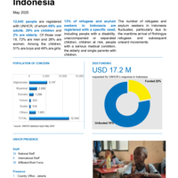 Indonesia: Factsheet - May 2025
