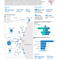 Chad: Update on arrivals from Sudan [CORE] - 3 August 2025