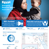 Egypt: Emergency Response Update - August 2025
