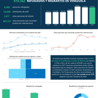 Hoja informativa estadística población venezolana – Cono Sur, junio 2025