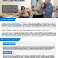 Lebanon: Factsheet - Protection Programs - [January-August 2025] 