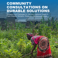 Mozambique: Community consultations on durable solutions report [January - June 2025]