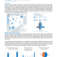 Syrian Arab Republic: Refugee protection factsheet