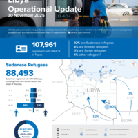 Libya: operational update – November 2025