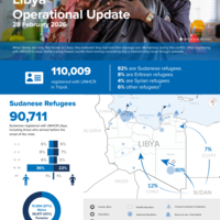 Libya: operational update – February 2026