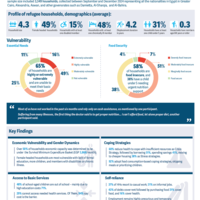 Egypt Vulnerability Assessment for Refugees (EVAR) 2025 - Summary