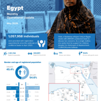  UNHCR Egypt Operational Update (May 2026)