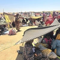 Hundreds of Sudanese people shelter under shade cloths held up by branches