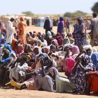 People who recently fled fighting in El Fasher and surrounding areas wait for assistance in Tawila, in Sudan's North Darfur State.