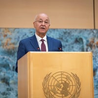 A man in a suit and tie speaks from behind a wooden lectern emblazoned with the UN logo
