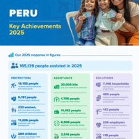 Peru: key achievements 2025