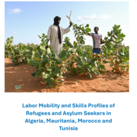 Labor Mobility and Skills Profiles of Refugees and asylum-seekers in Algeria, Mauritania, Morocco and Tunisia 