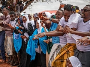 A large group of people dance outdoors while others others sit in a tree nearby