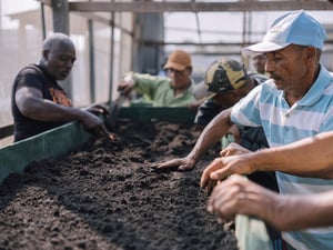 Refugee volunteers work on an agro-ecological project at a sustainability centre in Boa Vista, Roraima State, Brazil.