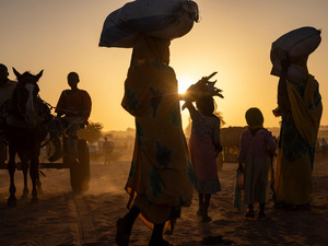 Silhouettes of a group of refugees and a horse against the sun