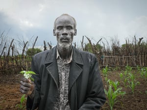 A South Sudanese man holds a plant in front of his field of crops