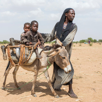 A woman walking beside a donkey, on which two children are sitting