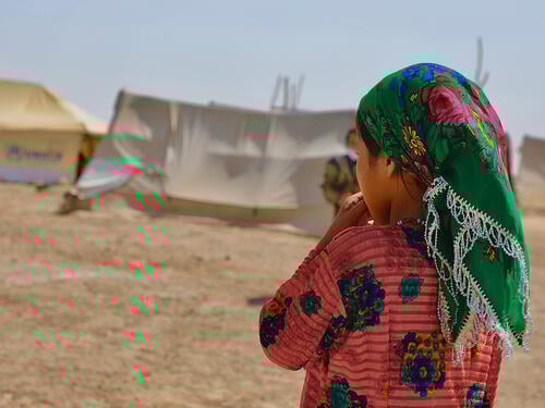 UNHCR’s child protection data from 2015-2021 cover image