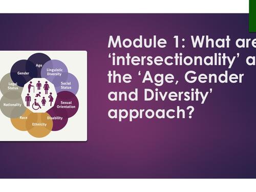 A screenshot of a powerpoint slide. Text reads 'What are 'intersectionality' and the 'Age, Gender and Diversity' approach?'


