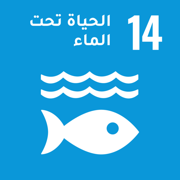 أهداف التنمية المستدامة - الهدف 14: الحياة تحت الماء