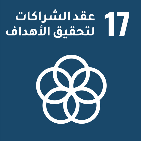 أهداف التنمية المستدامة - الهدف 17: عقد الشراكات لتحقيق الأهداف