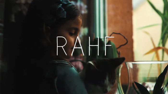 A young girl petting her cat.