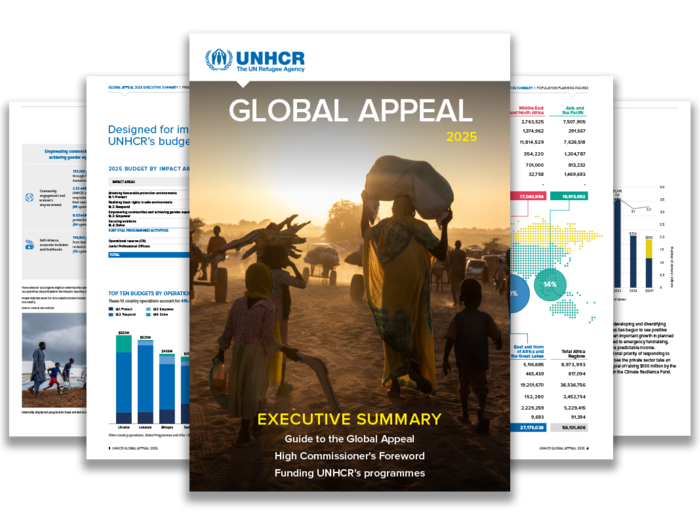 Cover of the Global Appeal 2025, featuring silhouettes of people carrying firewood, illuminated by the setting sun. Inside pages display charts and graphs.