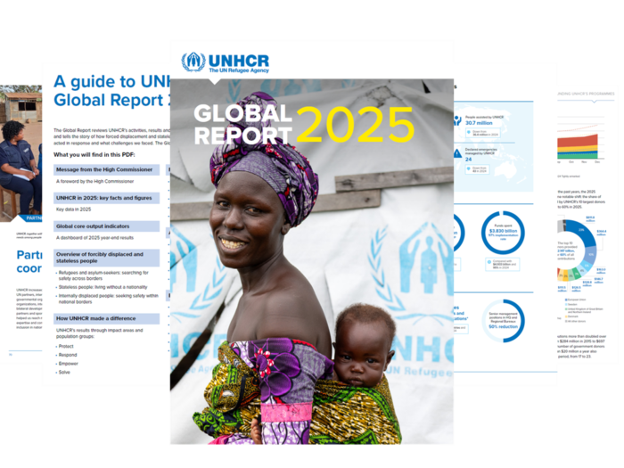 Global Report 2025 snapshot