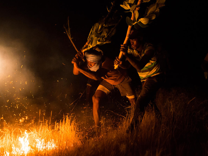 Mauritania. Refugee volunteers wage fight against bush fires near Malian camp