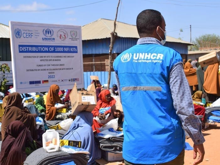 A UNHCR staff member is pictured from behind, looking at a group of Somalian internally-displaced people who have received non-food items. Behind them is a sign about distribution of NGI KITs.
