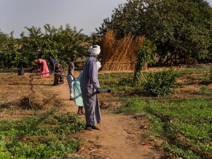 Five people work outside on an Agro project.